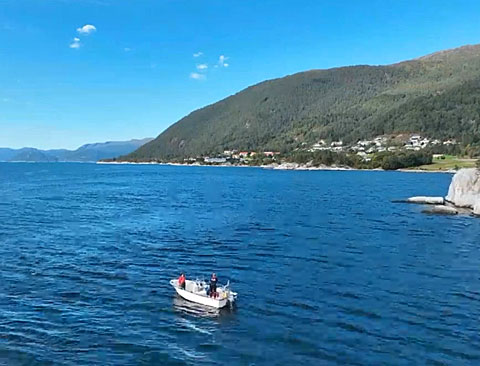 Borks Impressionen 2025